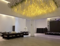 salon1g